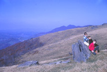 Ashe, Watauga Counties