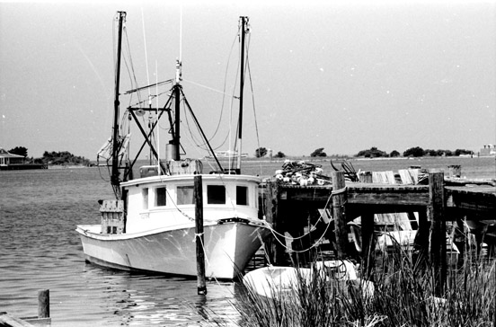 Ocracoke Island