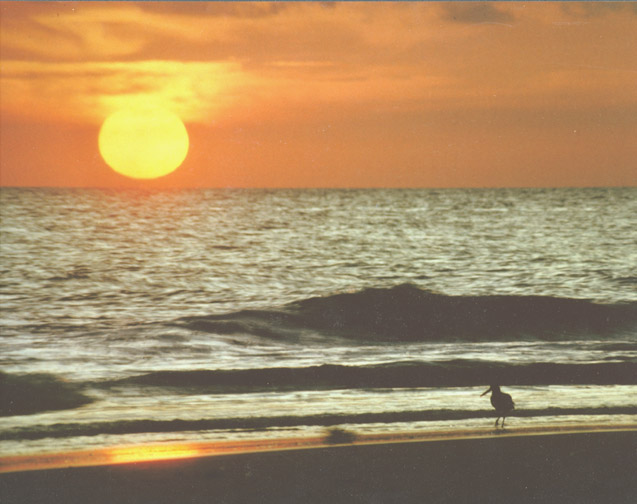 Ocracoke Island