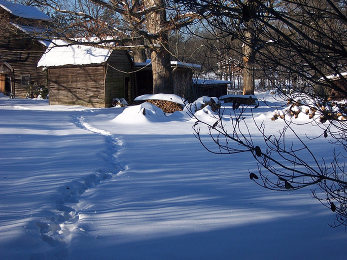 Our home's backyard in Vale