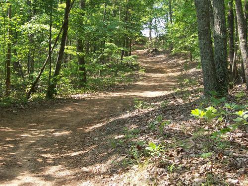 A portion of John Wyant's land