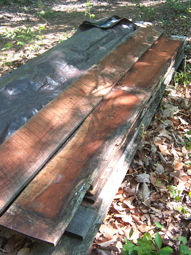 Catawba Valley Cherry