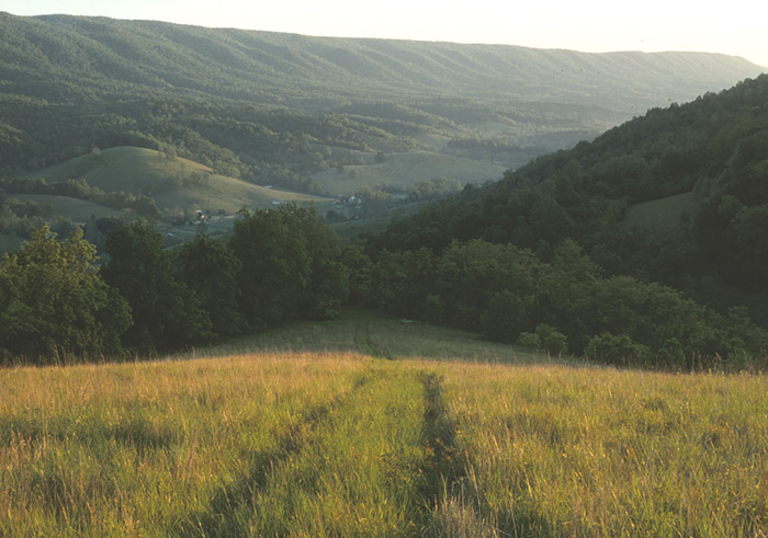 Shannandoa Valley, Robert Ferguson Farm - Brownsburg, VA