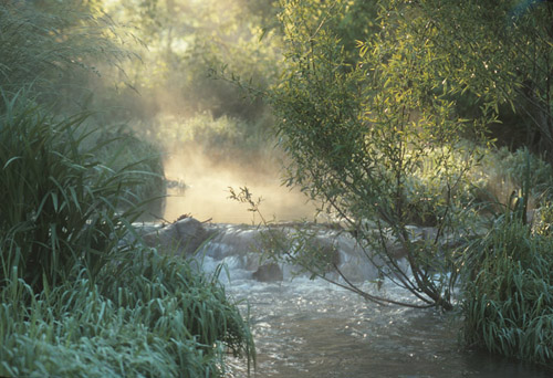 Spa Spring - Morrow Farm