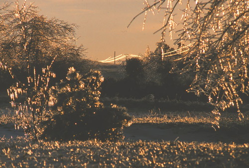 ice