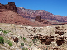 Desert Mesa