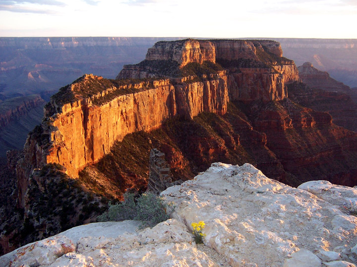 Desert Mesa