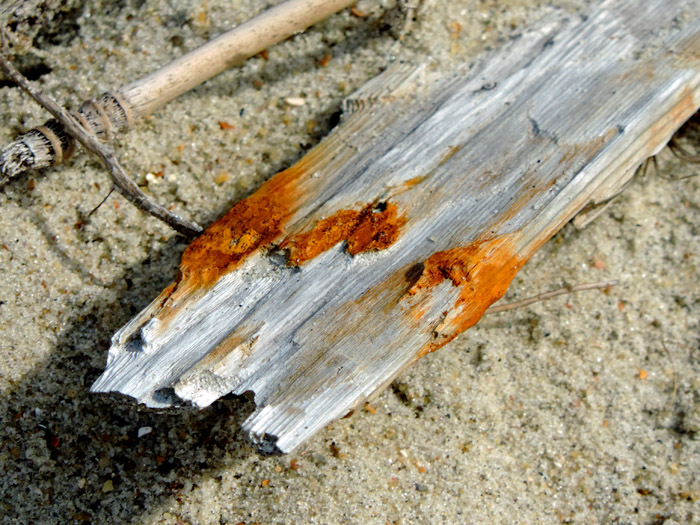 Durant Point
