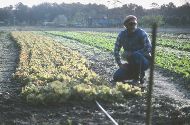 Hartlein Farm